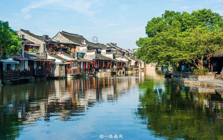 了解仙人掌怎么养?,发现知识星球的魅力!
